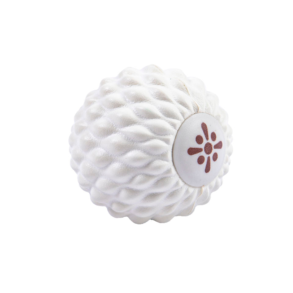 BodyEase Massage Stretch Set